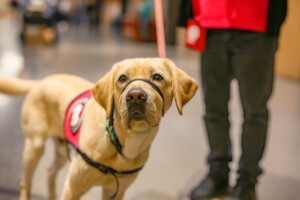 004-NEFA-2025-Conference-at-The-Depot-Renaissance-Minneapolis-Hotel-www.justincoxphotography.com-October-14,-2025